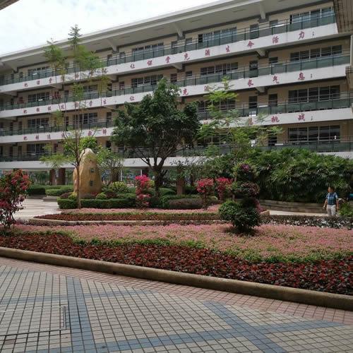 案例展示